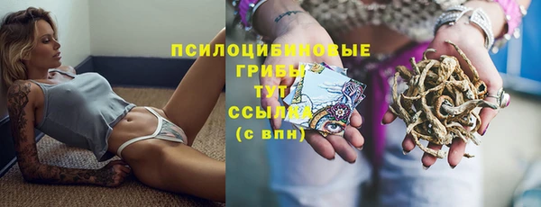бошки Арсеньев
