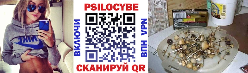 Галлюциногенные грибы MAGIC MUSHROOMS  kraken зеркало  Берёзовский 